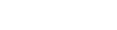 LYNT IT Solutions